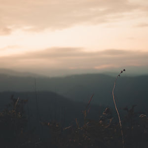 Persistencia by Marisol Cid González, Image 1.