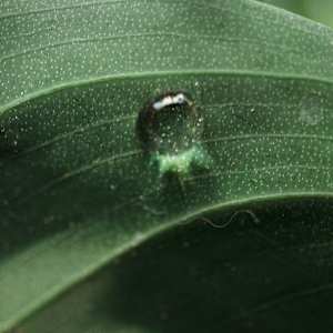 Ultimos avistamientos by Marisol Cid González, Image 1.