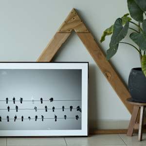 Pentagramas en libertad by Marisol Cid González 