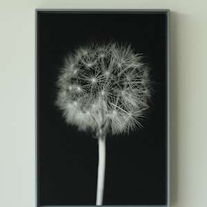 Una existencia nostálgica/A nostalgic existence by Marisol Cid González 