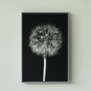 Una existencia nostálgica/A nostalgic existence by Marisol Cid González 