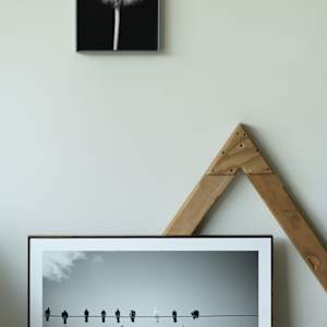 Pentagramas en libertad by Marisol Cid González 