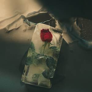 Fragilidad detenida by Marisol Cid González, Image 1.