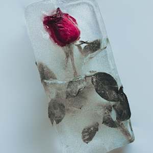 fragilidad detenida by Marisol Cid González, Image 1.