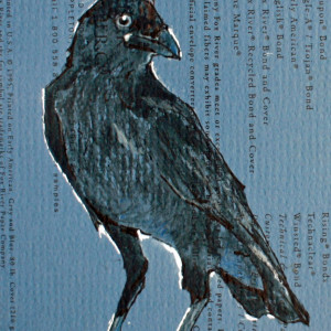 Fox River Crow #1 by Cara Lawson-Ball