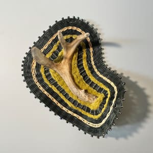 Antler Jewel on the Forest Floor--Naturally Shed Mule Deer Antler  #270/73 by Cathryn Peters Designs