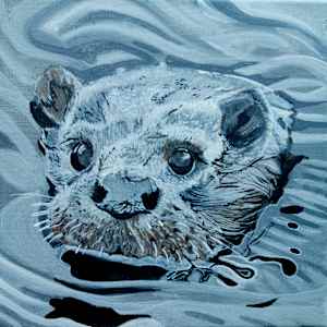 Baby Otter by Lois Dubber