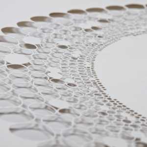 Rings by Ruth Becker 