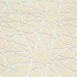 Starlit Inverse by Ruth Becker 