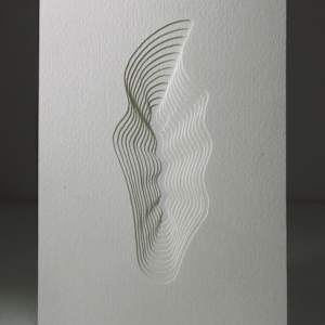 Feather study by Ruth Becker 
