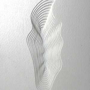 Feather study by Ruth Becker 