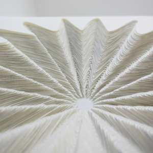 Topo II by Ruth Becker 