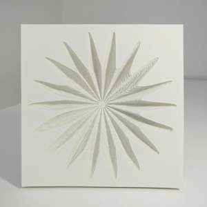 Topo II by Ruth Becker 