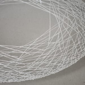 Nest by Ruth Becker 