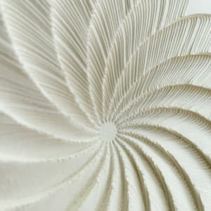 Spiral study by Ruth Becker  Image: detail