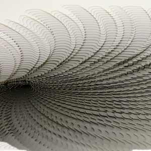 Whorl by Ruth Becker  Image: detail