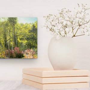 Awakening Forest by Juanita 