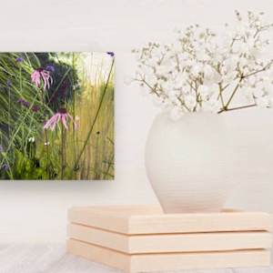 Grace in the Wild by Juanita 