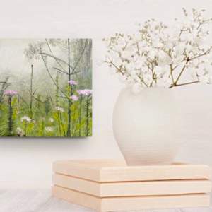 Gentle Awakening by Juanita 