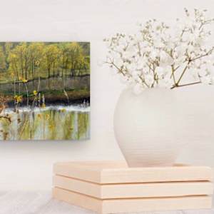 Edge of Autumn by Juanita 