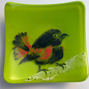 Bird Dish #244 by Shayna Heller