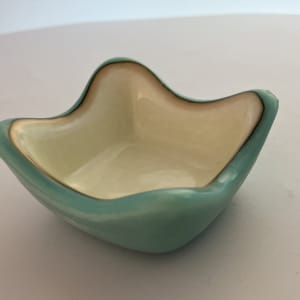 Small Dish #263 by Shayna Heller