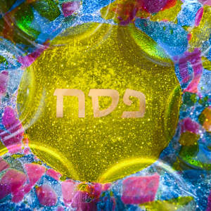Seder Plate - Multicolor by Shayna Heller, Image 2.