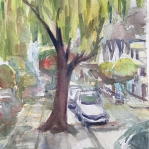 Day 27-Willow tree on Diamond Street