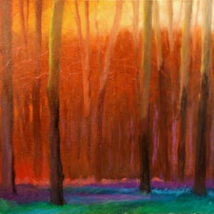 The Woods Series, Sunset and Shadow by Gregory Blue