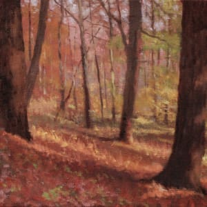 Stroud Woods, Autumn by Gregory Blue