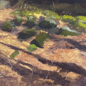 Moss Covered Stones by Gregory Blue