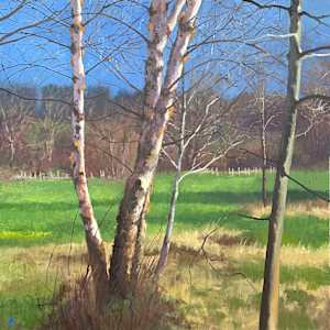 Illuminated Birch Trees by Gregory Blue, Image 1.
