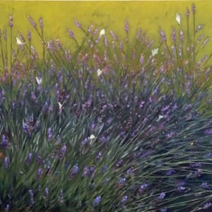 August Lavender