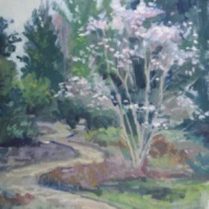 Path in Early Spring at the Botanic Gardens by Matthew Lee, Image 1.