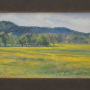 Yellow Fields outside the Ozark National Forest by Matthew Lee 