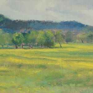 Yellow Fields outside the Ozark National Forest by Matthew Lee