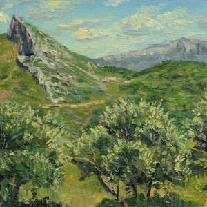 Windy Olive Trees on 'Le Garlaban' by Matthew Lee