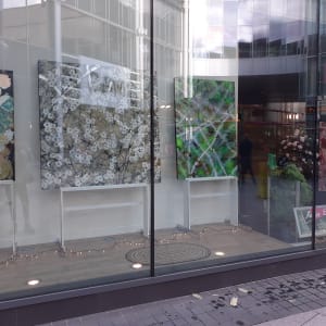 7) Window display at Eden shopping centre by Robin Eckardt 