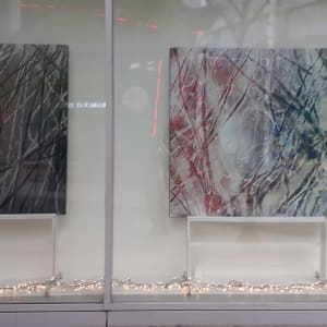 7) Window display at Eden shopping centre by Robin Eckardt 