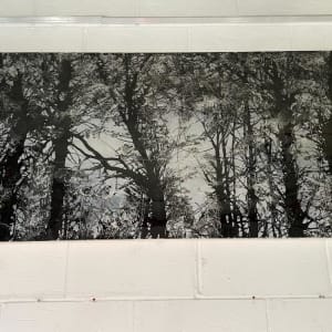 1) Silver Forest by Robin Eckardt 