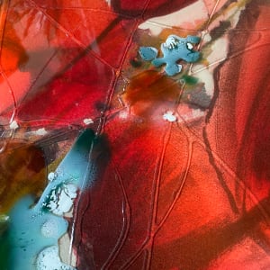 1) Field of poppies by Robin Eckardt 