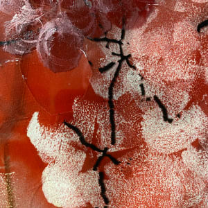 1) Cherry Sakura flowers by Robin Eckardt 