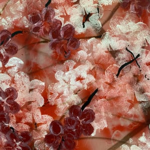 1) Cherry Sakura flowers by Robin Eckardt 