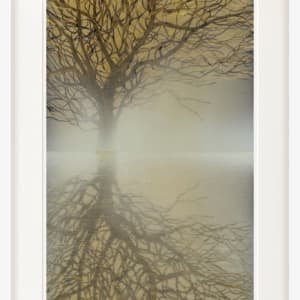 Reflections - Limited Edition Print Proof 3