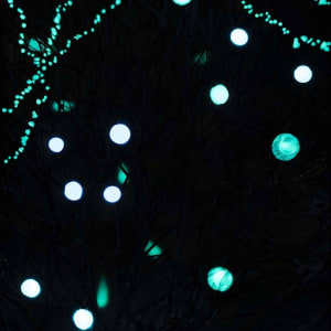 1) Tree Of Lights by Robin Eckardt 