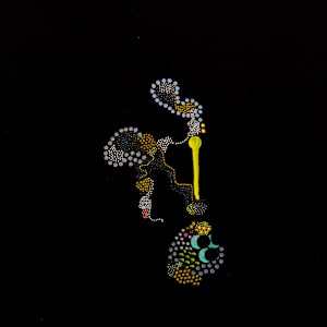 Slow Transmission by Maria Lankina