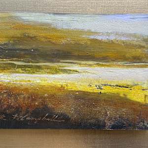 Feelings About a Place by Rachael McCampbell