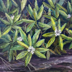 Smoky Mountain Peace by Rachael McCampbell