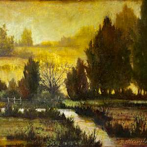 Turning Anew by Rachael McCampbell