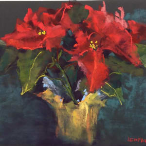 Poinsettias, Image 1.